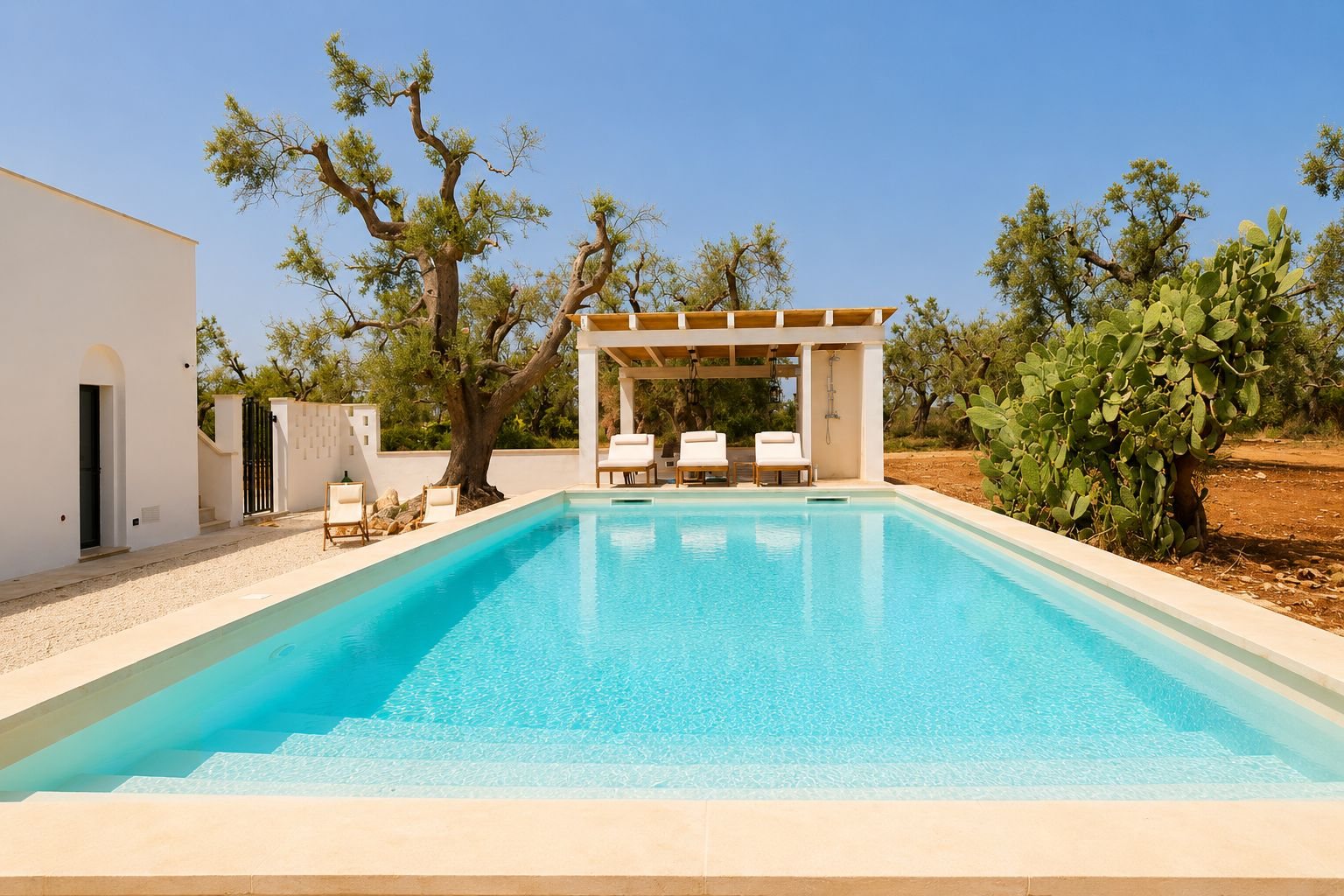 The pool of Casa Andrea seen along its length — turquoise water in a pale stone surround, three sun loungers and an outdoor shower under the timber pergola, a centenary olive and a prickly pear on the far side, the white villa to the left, Puglia.