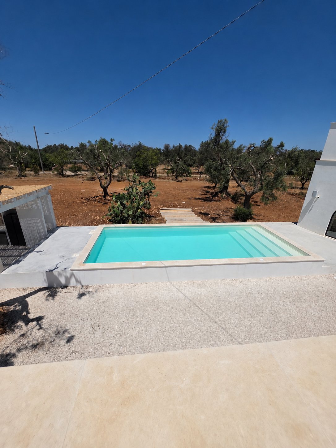 The pool and pale stone deck of Casa Andrea beside the white villa and a centenary olive, the grove beyond, Puglia.
