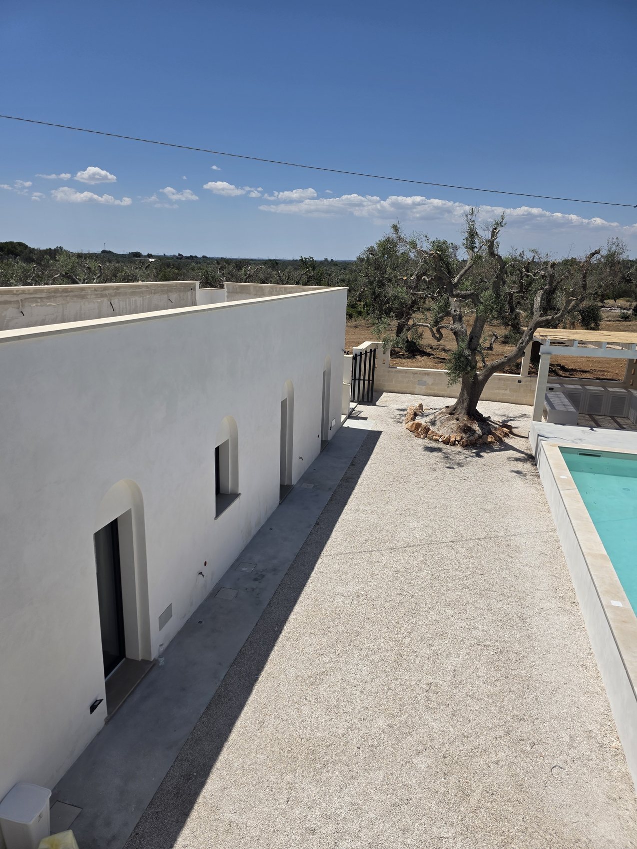 La villa bianca di Casa Andrea vista lungo la terrazza — un volume tinteggiato a calce con tetto piano e nicchie ad arco per le finestre, il vialetto di ghiaia che porta all'ulivo e alla piscina, l'uliveto dietro, Puglia.