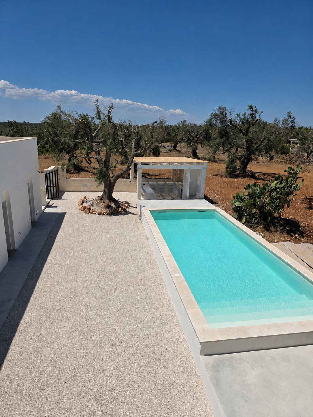 La piscina e la terrazza di Casa Andrea, la villa in pietra restaurata e il suo uliveto sullo sfondo, San Vito dei Normanni, Puglia.