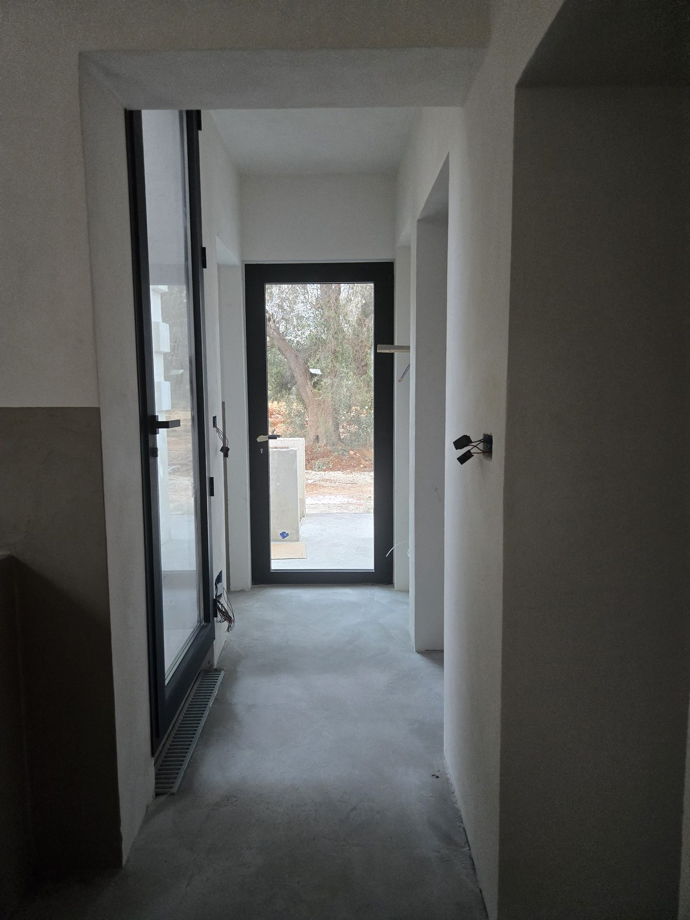Uliveto secolare visto attraverso la grande finestra orizzontale di Casa Andrea, Puglia.